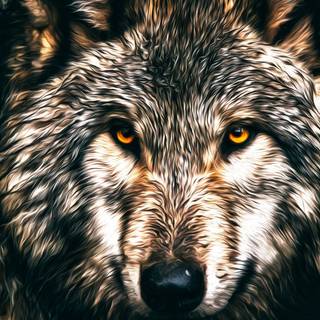 Painted wolf wallpaper