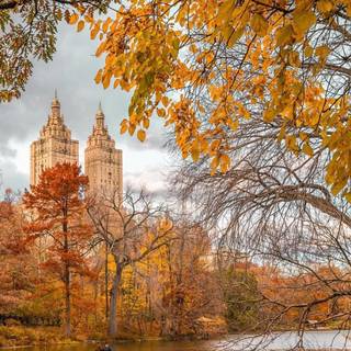 Central Park autumn wallpaper