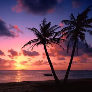 Purple palm trees HD wallpaper