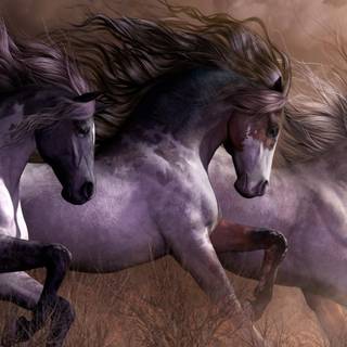 Paint horses wallpaper