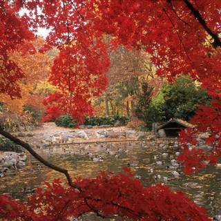 Autumn Oregon wallpaper