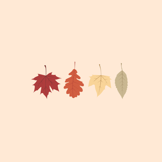 Laptop aesthetic fall wallpaper