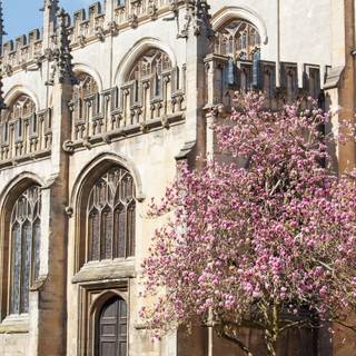 Oxford University Android wallpaper