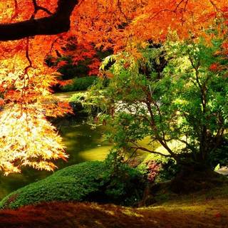 Autumn beautiful wallpaper