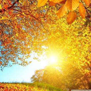 Autumn beautiful wallpaper