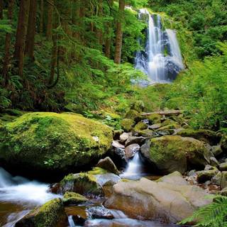 River in the mountains wallpaper