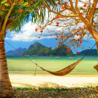 Relaxing summer wallpaper