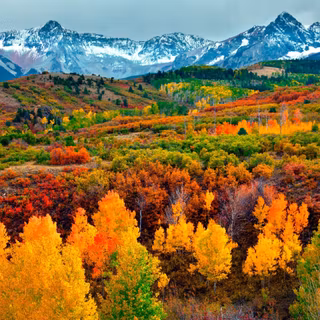 Autumn 1920x1080 wallpaper