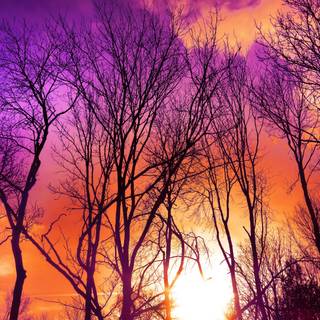 Sunset autumn desktop wallpaper