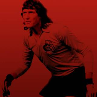 América de Cali wallpaper