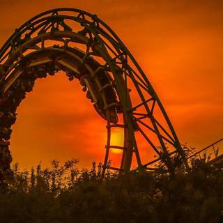 Roller coasters wallpaper