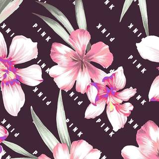 Pink Nation wallpaper