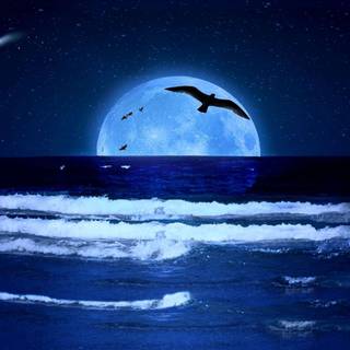Night ocean wallpaper