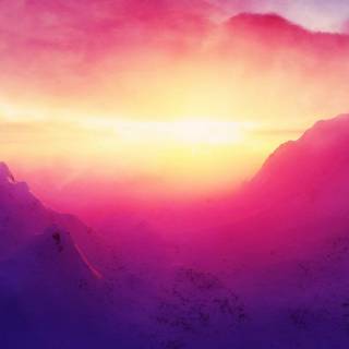 Nature in pink wallpaper