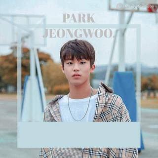 Jeongwoo Treasure wallpaper