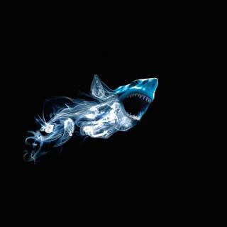 Shark attack wallpaper