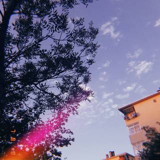 Huji wallpaper