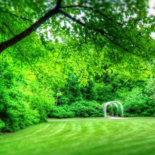 Green scenery Android mobile wallpaper