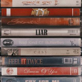 Bad Kind of Butterflies Camila Cabello wallpaper