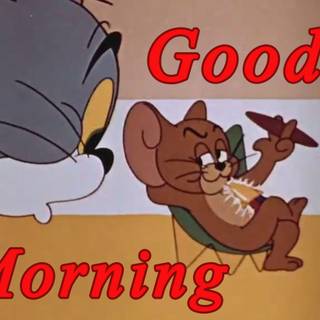 Tom and Jerry memes wallpaper