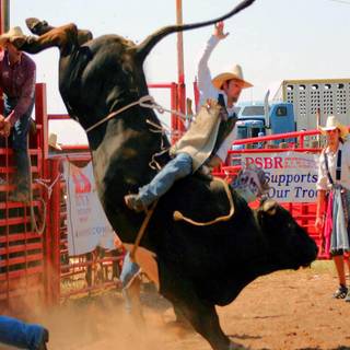 Lane Frost wallpaper