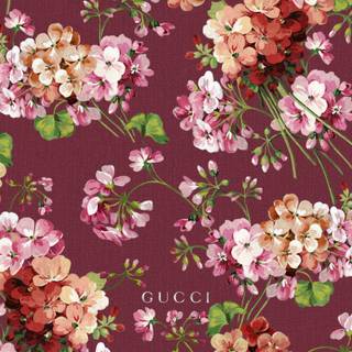 Gucci rose wallpaper