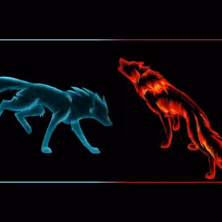 Rainbow fire wolf wallpaper