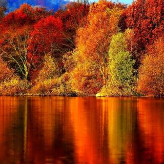 Canada autumn wallpaper