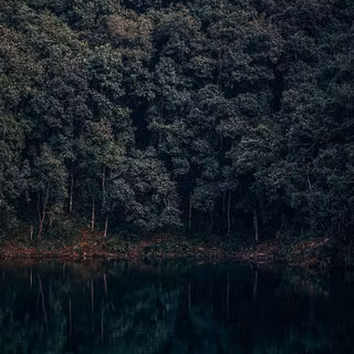 High Res iPhone XR wallpaper