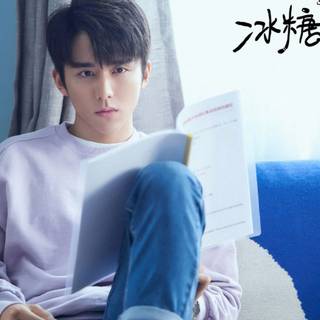 Zhang Xincheng wallpaper