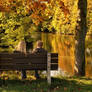 Pond autumn park wallpaper