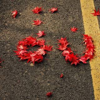 Autumn love wallpaper