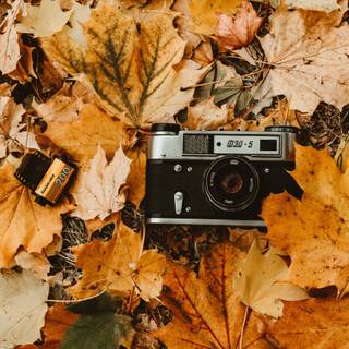 Retro autumn wallpaper