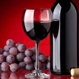 Red wines wallpaper