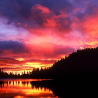 Autumn crimson wallpaper