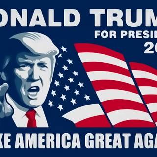 Funny Donald Trump wallpaper