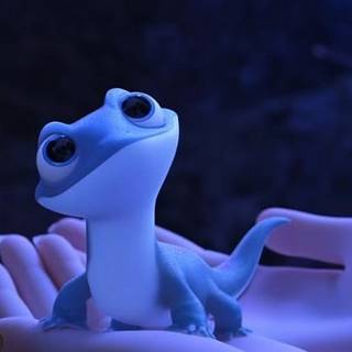 Frozen salamander wallpaper