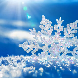 Macro snow wallpaper