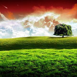 Indian flag colour wallpaper
