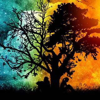 Winter vs summer wallpaper