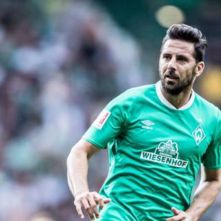 Claudio Pizarro wallpaper