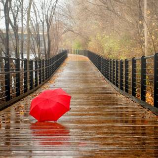 Rainy days in autumn wallpaper