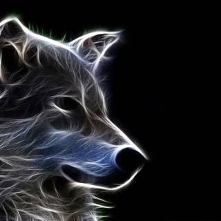 Neon wolves wallpaper