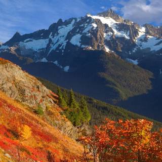 Washington autumn wallpaper