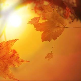 Autumn messages wallpaper