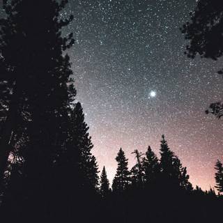 Into the night wallpaper