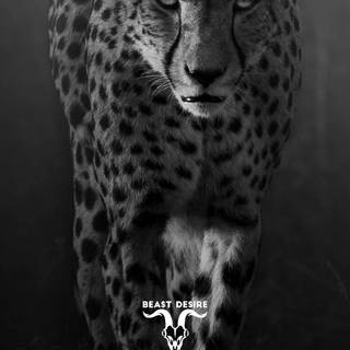 Animal lives matter wallpaper