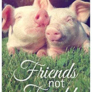 Animal lives matter wallpaper