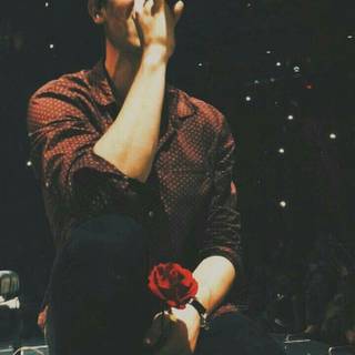 Shawn Mendes concert wallpaper