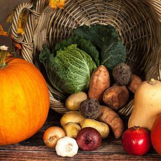 Autumn harvest pumpkin wallpaper